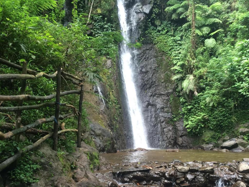 Hotel Parama Puncak Dış mekan fotoğraf